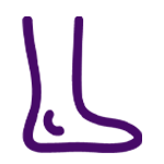 Icon of foot and ankle.